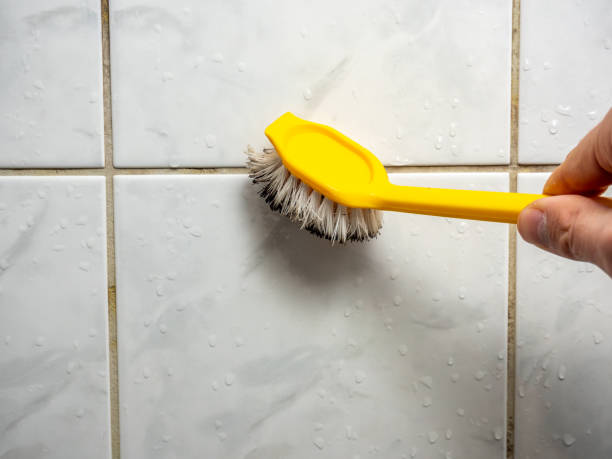 Best Basement Mold Remediation in Goldstream, AK