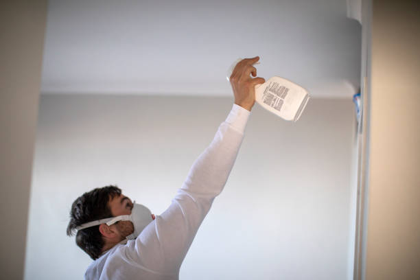 Goldstream, AK Mold Remediation Company