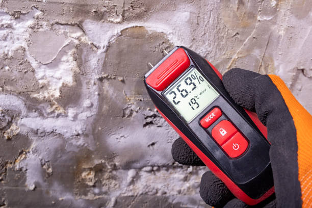 Goldstream, AK Mold Remediation Company